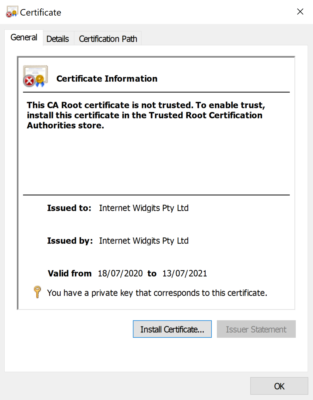 A certificate, opened in Windows 10, showing that a private key corresponding to this certificate is present.