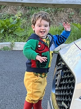 My son shouting cat at a tiger.